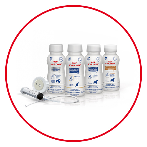 Royal Canin  Critical Care Liquid Formulas