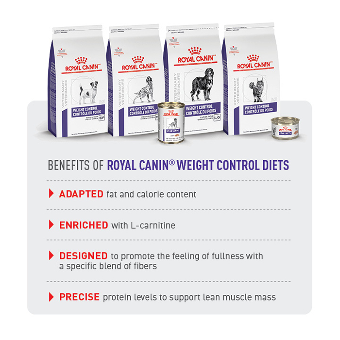 weight control family packshots + ‘benefits of Royal Canin Weight Control diets