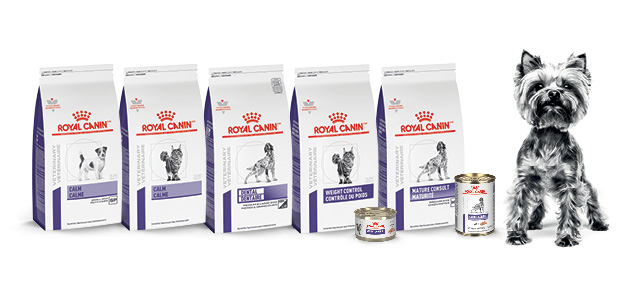 Health Management Pack Shots with Dog on right side.