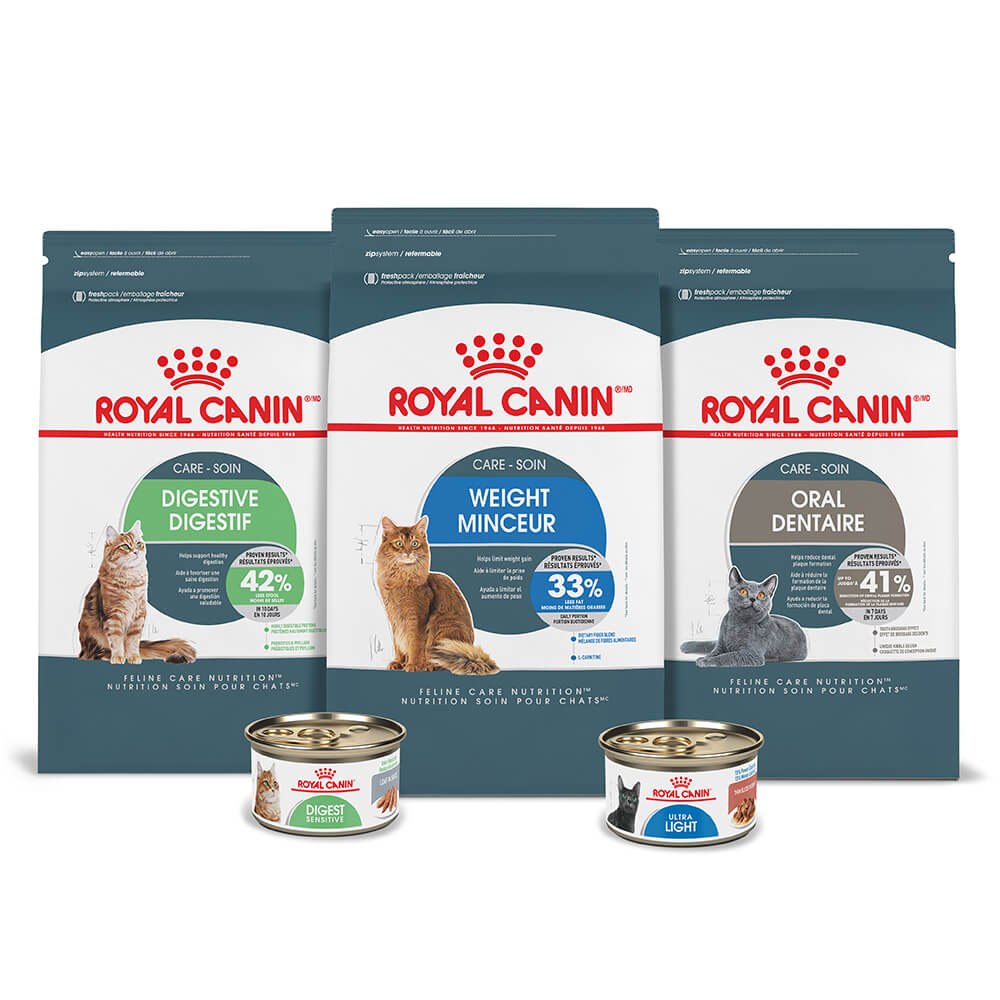 Feline Care Nutrition | Royal Canin