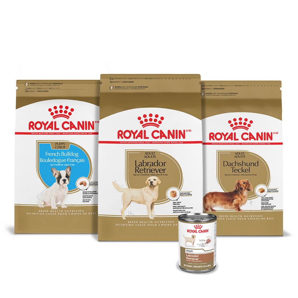 Breed Health Nutrition | Royal Canin Dog Food