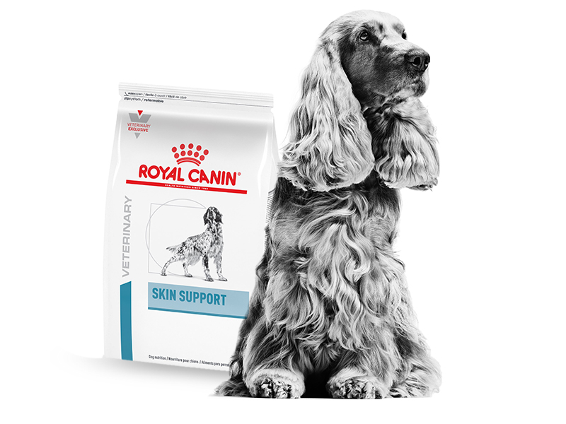 Derm Veterinary Pet Food Formulas | Royal Canin