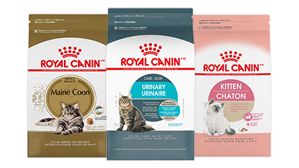 royal canin sc21 best price