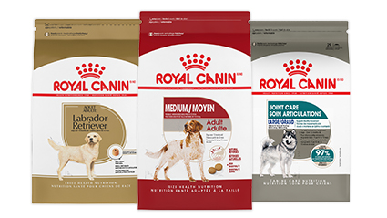 Royal Canin Royal Canin 