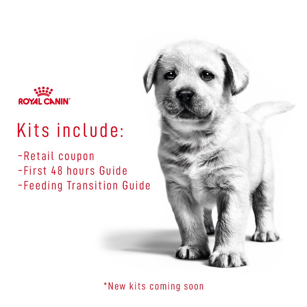Dog Breeder Kits | Royal Canin
