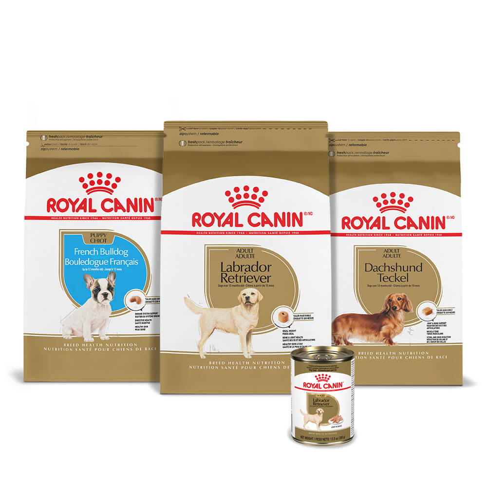 Breed Health Nutrition | Royal Canin Dog Food