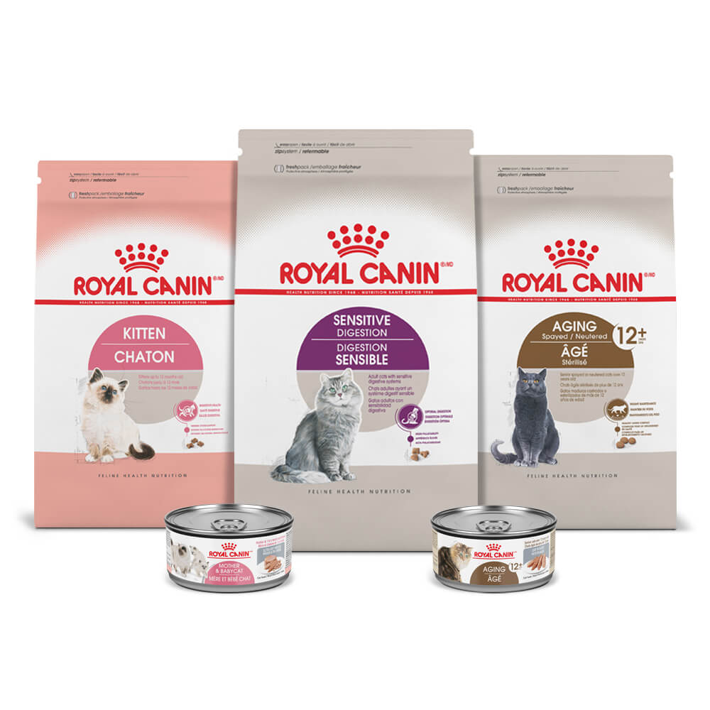 Feline Health Nutrition | Royal Canin Cat Food