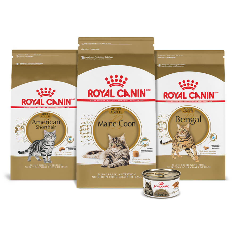 Feline Breed Nutrition | Royal Canin Cat Food