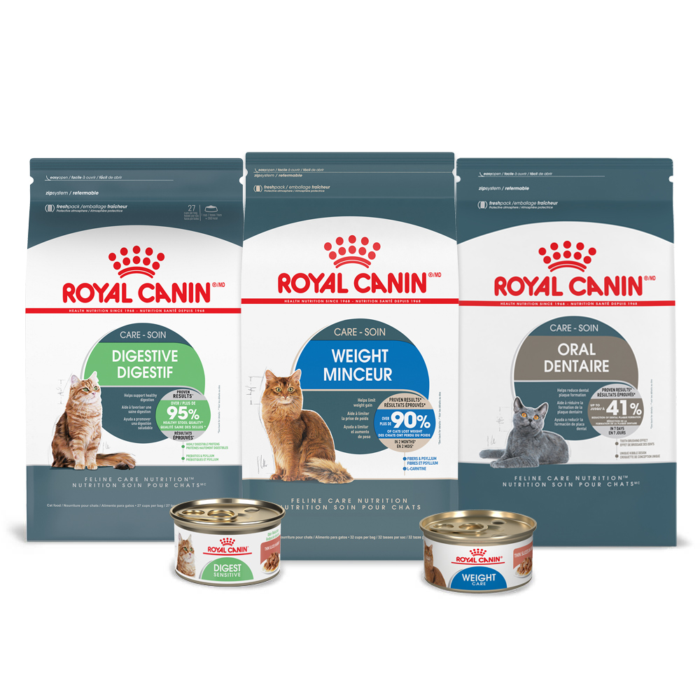 Feline Care Nutrition | Royal Canin