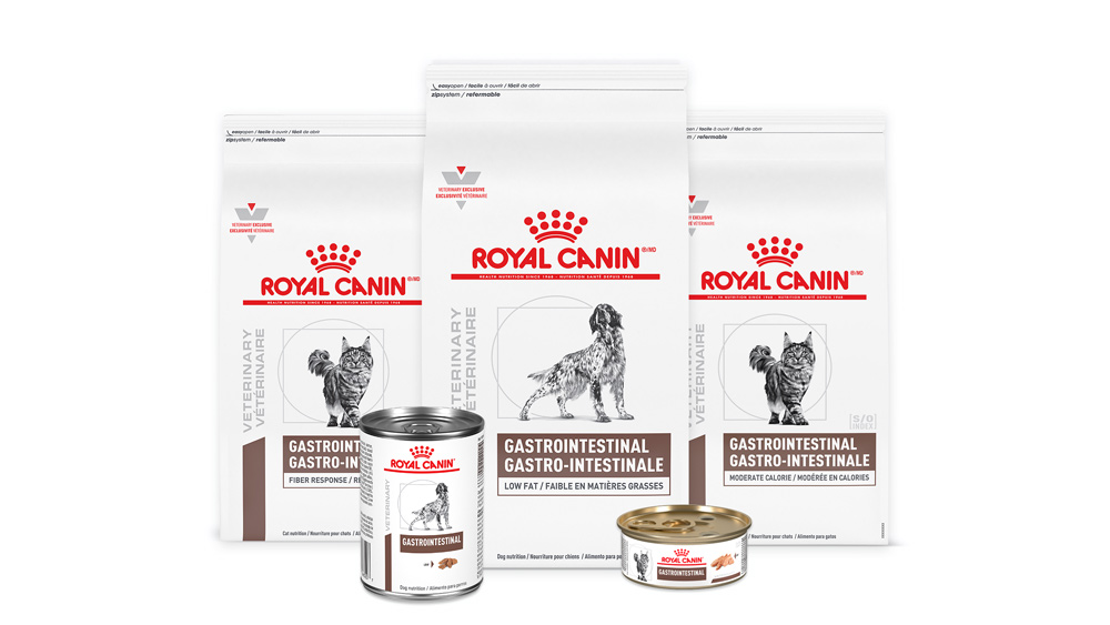 Royal Canin Gastrointestinal Range of Diets