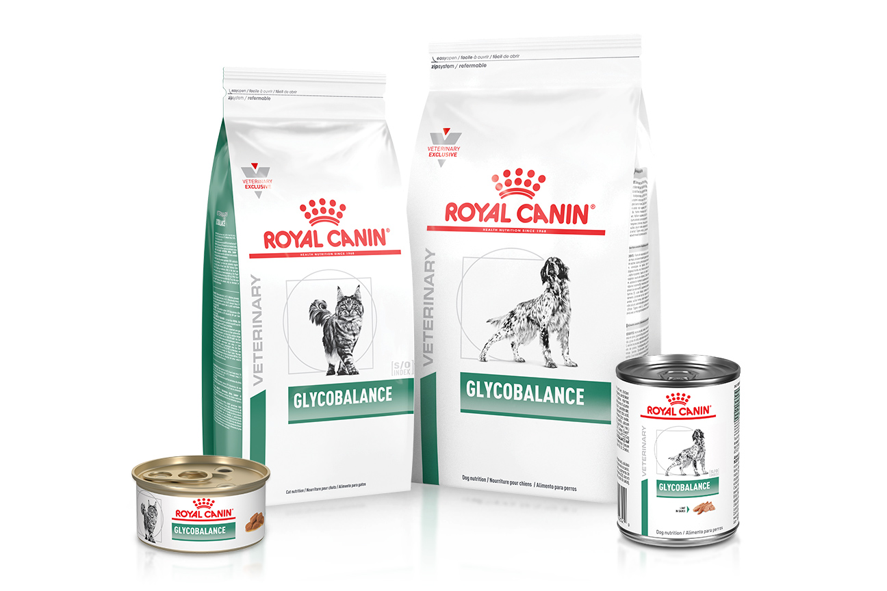 Glycobalance royal shop canin dog