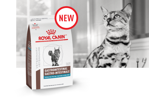 Gastrointestinal Hydrolyzed Protein for Cats