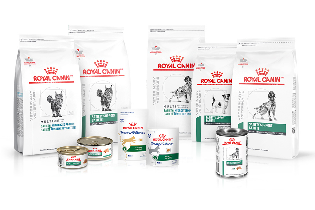 Weight loss for cats and dogs | Royal Canin
