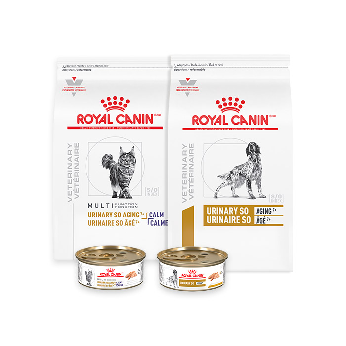 Royal canin stone store analysis